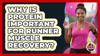 Why Is Protein Important For Runner Muscle Recovery?