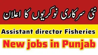 New government jobs announced 💥😱|| Punjab jobs of assistant director in fisheries#governmentjobs