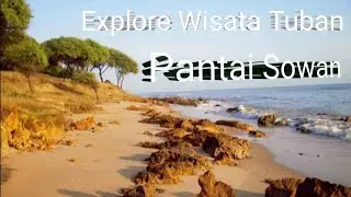 Wisata Tuban 