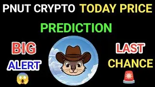 Pnut coin price prediction 2025 | Pnut coin today news | Pnut coin latest news | Pnut big pump alert