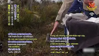 2070 NWN 8 Australia&rsquo;s coronation gift helps further protection of endangered parrot people 1080p