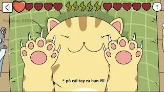 Cắt m&oacute;ng cho m&egrave;o - Look me see your nail | Adorable Home Funny