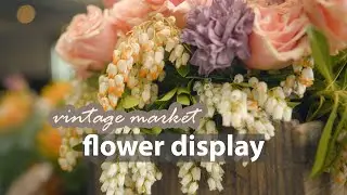 (4K) Walk from Tynte Street to North Adelaide Village | Adelaide Flower Day 2022