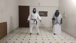 Karate daily practice (session 247) Advance ippon kumite- Maegeri/front kick