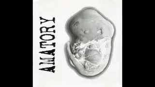 AMATORY - Только Без Слез