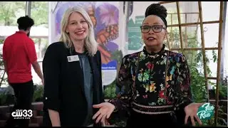 Discover the magic of butterflies at Dallas Zoo's new exhibit