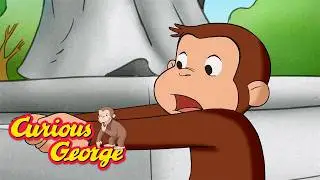 Charkie Stole the Baton! 🐵 Curious George 🐵 Kids Cartoon 🐵 Kids Movies
