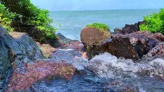GOA - 2020 - Mesmerising South Goa - Offbeat