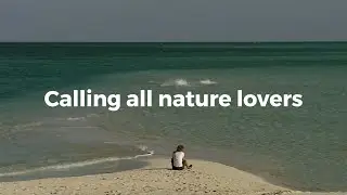 Let&rsquo;s fix Australia's nature laws