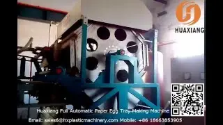 China Full-Automatic Egg Tray/ Fruit Tray Production Line