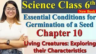 Seed Germination Conditions - Ch 10 Living Creatures: Exploring their.., Science Curiosity Class 6