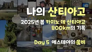 나의 산티아고 Day 5 에스테야의 꽃비