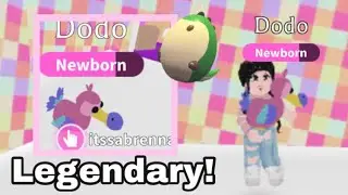 I got my first legendary fossil egg pet