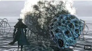 Another Giant Spider from Australia called nopenopenopeNOPENOPEBYEBYE