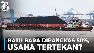 Produksi Batu Bara Berpotensi Dipangkas hingga 50%