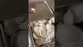 MESS FOOD|WHAT I HAVE IN MY BREAKFAST|LIVING ALONE INTERNSHIP|