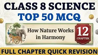 Best MCQ Class 8 How Nature Works in Harmony / Curiosity Class 8 MCQ