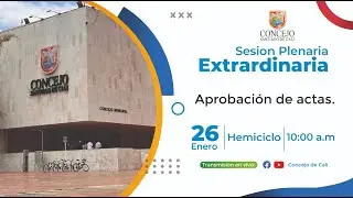 Plenaria Extraordinaria, Lunes 26 de Enero  2026