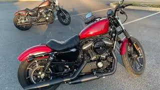 Pre-Owned 2018 Harley-Davidson XL883N Iron 883 in Wicked Red
