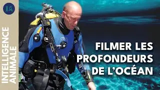 Mario Cyr : cinéaste des profondeurs I IA