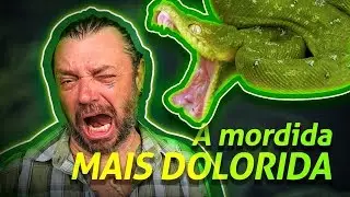 COBRA-PAPAGAIO, A MORDIDA MAIS DOLORIDA! | RICHARD RASMUSSEN