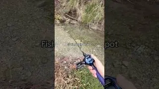 Fish Brain spots be like&hellip;💀 #fishing #shorts