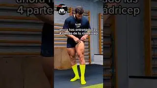&iexcl;No entrenes piernas a ciegas! Aprende a aislar y fortalecer cada zona del cu&aacute;driceps  #cuerpofitnes