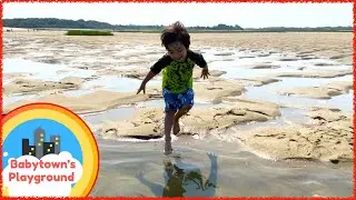 Exploring Tidal Pools in Cape Cod