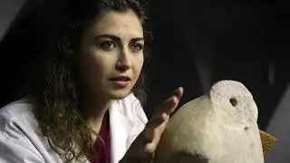 Antico Presente_ Ancient Present. ENGLISH Subtitle