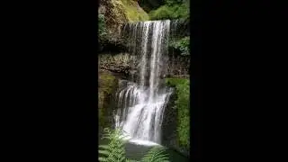 Whole lower south falls at Silver Falls State park