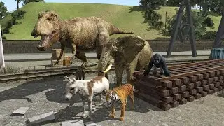 Sodor Short: Pets