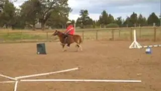 Clicker Training a Pony to Have a Good Stop/Good Whoa
