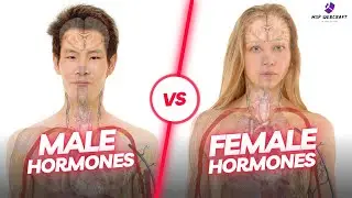 Decoding Men & Women's Bodies with Tech & Science | MSP WEBCRAFT #bodydecoder #menvswomen