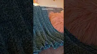 The Soft & Cozy Throw Blanket #crochet #crochetpattern #crochetblanket #bernat #bernatvelvetyarn