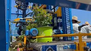 How We Trim 4,500 Plants a Day | Game-Changing Nursery Tech 🌿✂️