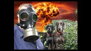 Darkroom Chemical Safety