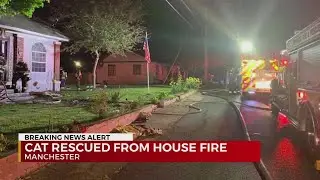 Cat rescued from house fire in Manchester