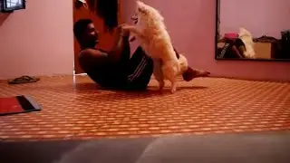 शैतान कुत्ता मेरा 🐕🤪 #youtube #viral #content #vlog #trendingvlog #vlogcontent