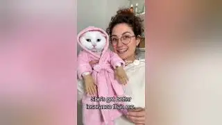 About Last Night - Neth'd Up #cat #funny #parody2026 @myflock000 
