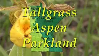 Minnesota's Changing Climate - Tallgrass Aspen Parkland