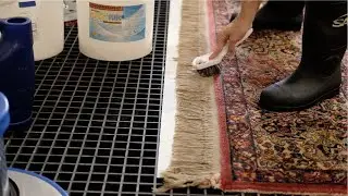 Carefully Cleaning the DIRTY fringe to restore its bright white glow