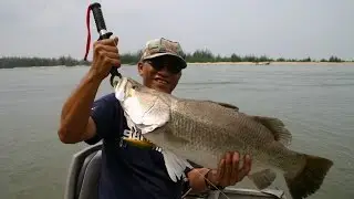 Barramundi and the Estuary Clan