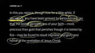 Think Hard for the Sake of Your Heart: 1 Peter 1:13–16, Part 1