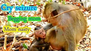 OMG ! very pity poor baby monkey Aiden cry seizure begging mom want milk but mom nasty not Accept