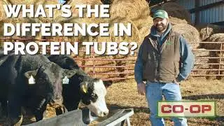 Co-op Minute: Differences in Protein Tubs
