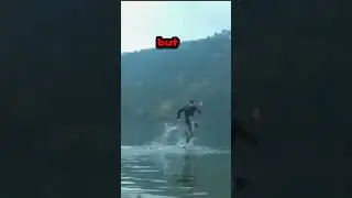 How Lizard Can running on water! #shorts #lizard