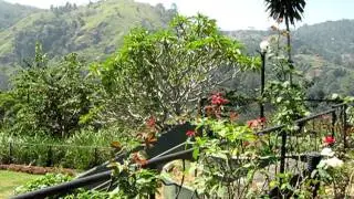 Ella Road