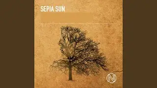 Salute to the Sun