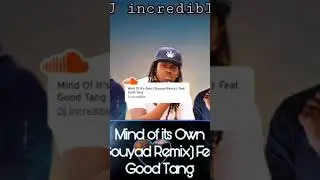 Dj incredible - Mind of its Own (Gouyad Remix) Feat. Good Tang