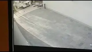 Bird scooter accident
